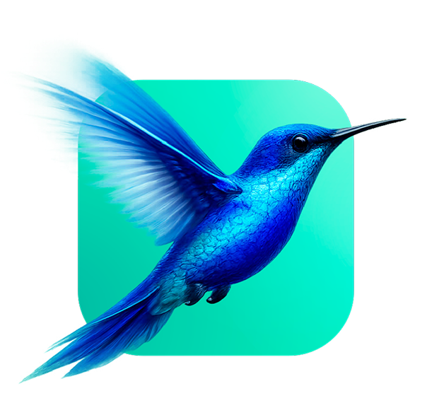 Colibri de QUO